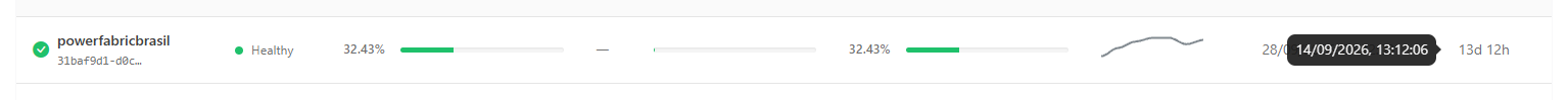 Tooltip with the exact date and time of a capacity's last synchronization