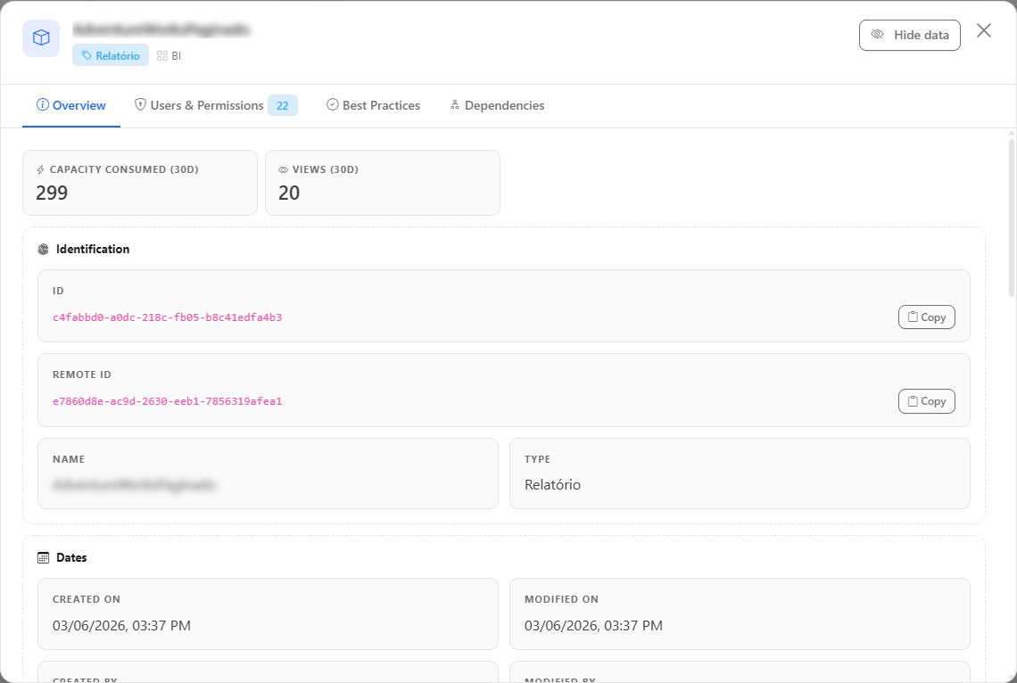 Details modal of a paginated report on the Overview tab