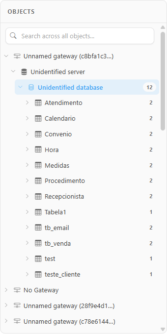 Objects panel with a gateway, a server, and a database expanded
